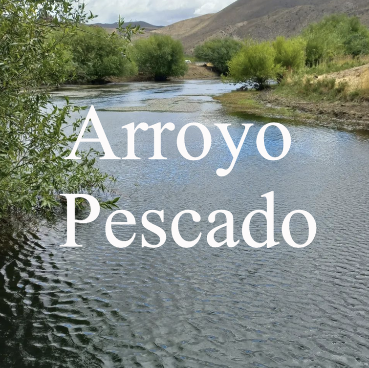 Arroyo Pescado Spring Creek